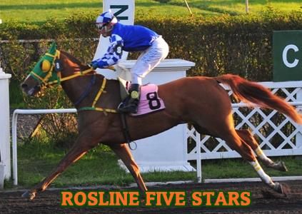 ejemplar ROSLINE FIVE STARS
