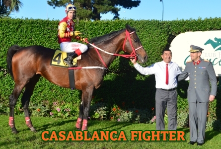 ejemplar CASABLANCA FIGHTER