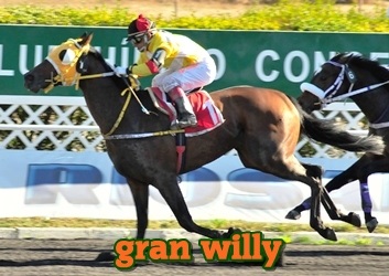 Gran Willy